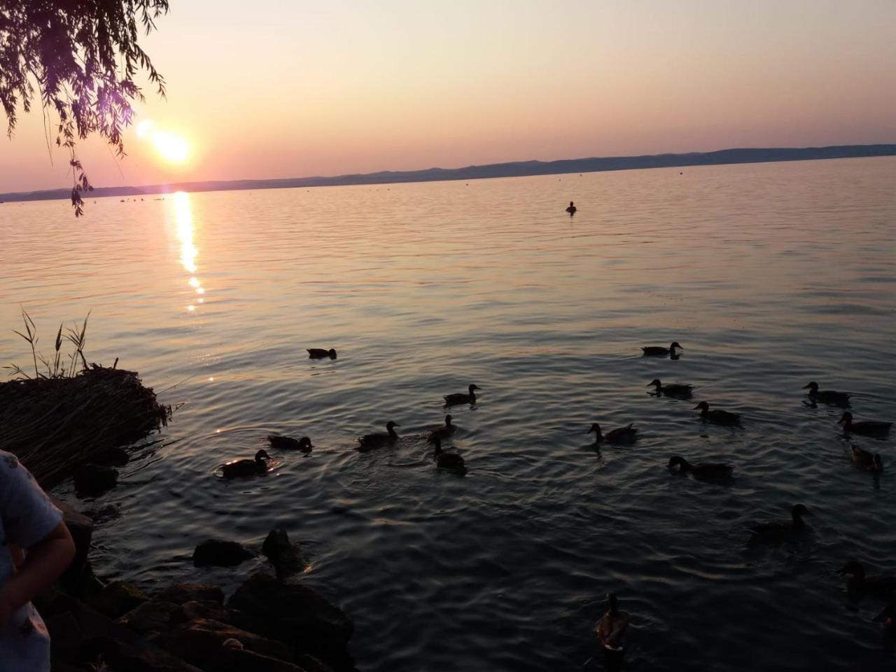 Sommer Ferienhaus Balatonszarszo Εξωτερικό φωτογραφία